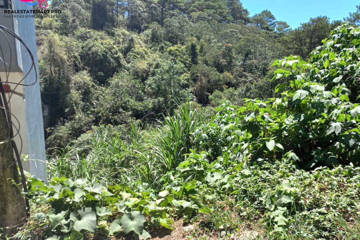 Land for Sale in Bakakeng Central, Baguio, Benguet – photo 3