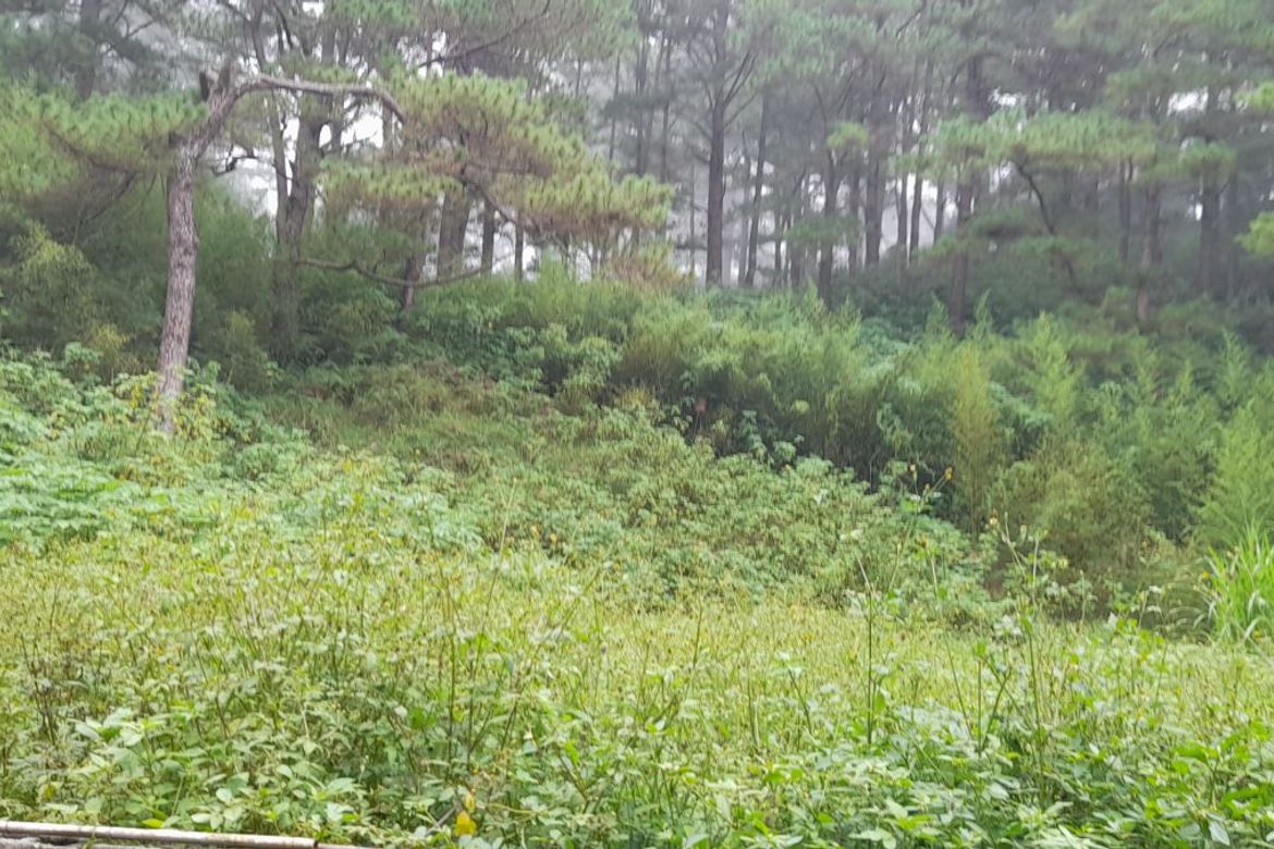 Land for Sale in Bakakeng Central, Baguio, Benguet
