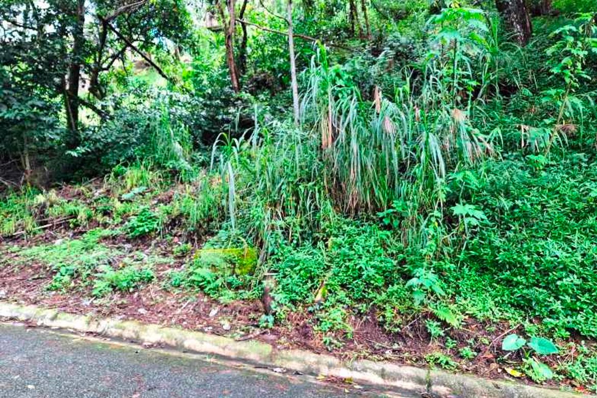 Land for Sale in Bakakeng North, Baguio, Benguet – photo 3