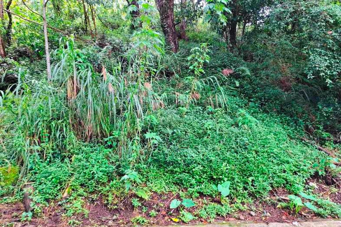 Land for Sale in Bakakeng North, Baguio, Benguet – photo 5