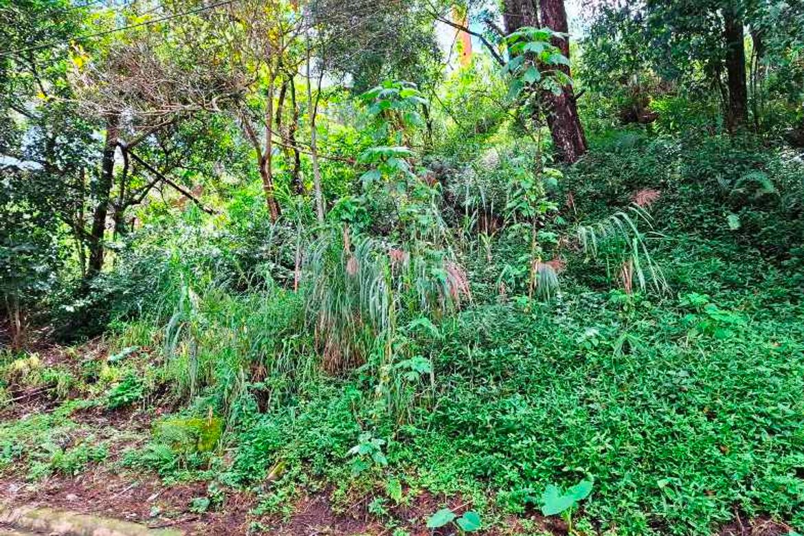 Land for Sale in Bakakeng North, Baguio, Benguet – photo 6