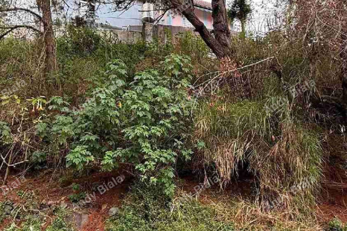 Land for Sale in Bakakeng North, Baguio, Benguet
