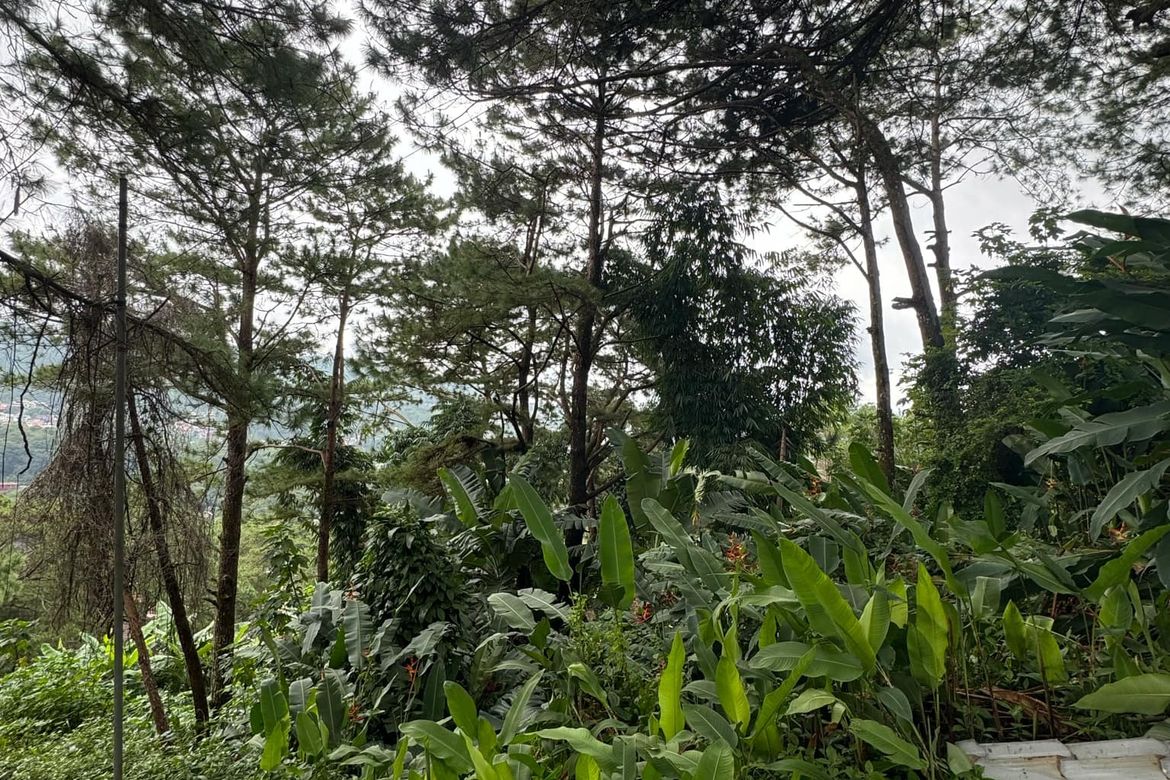 Land for Sale in Bakakeng North, Baguio, Benguet – photo 2