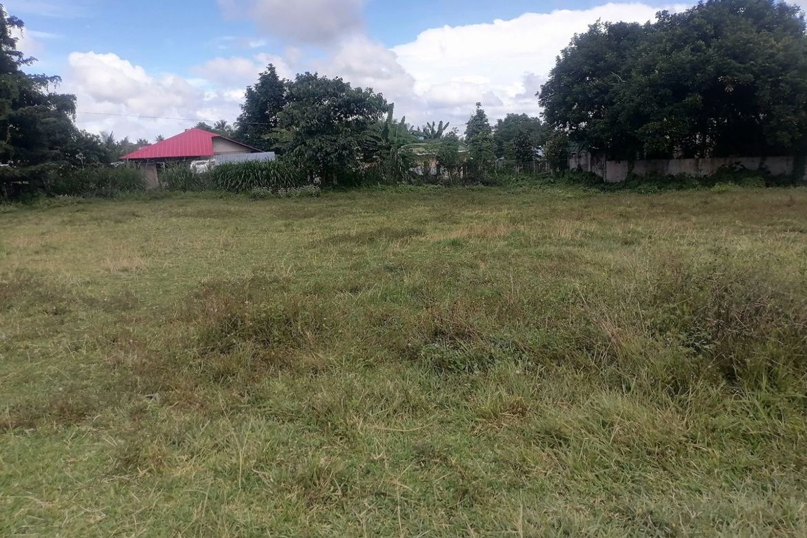 Land for Sale in Balabag East, Valencia, Negros Oriental