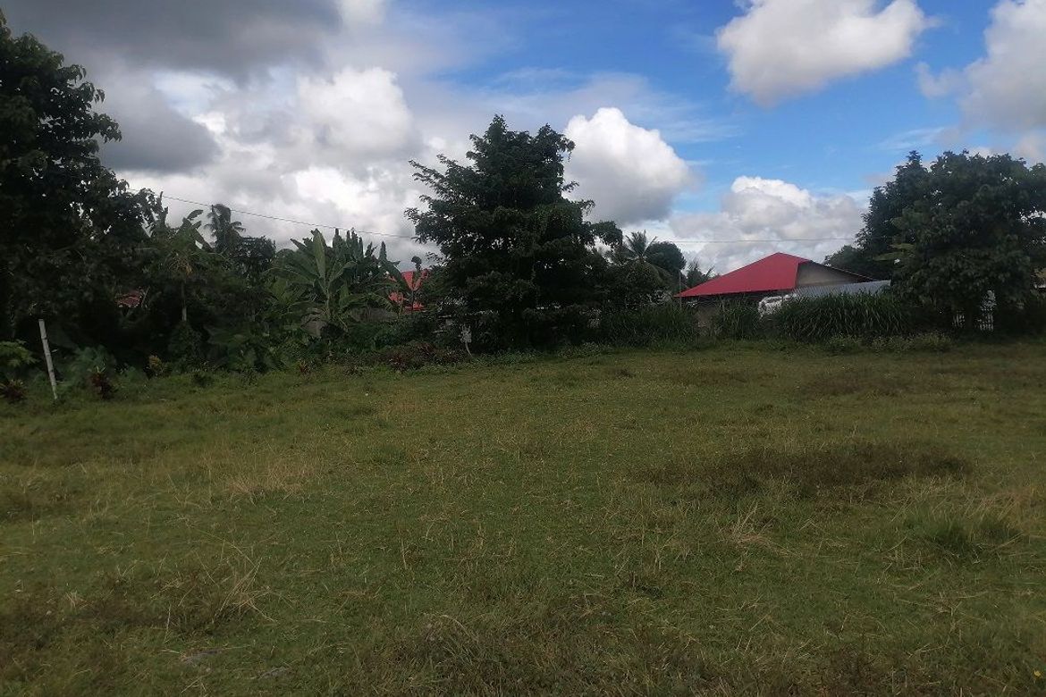 Land for Sale in Balabag East, Valencia, Negros Oriental – photo 3