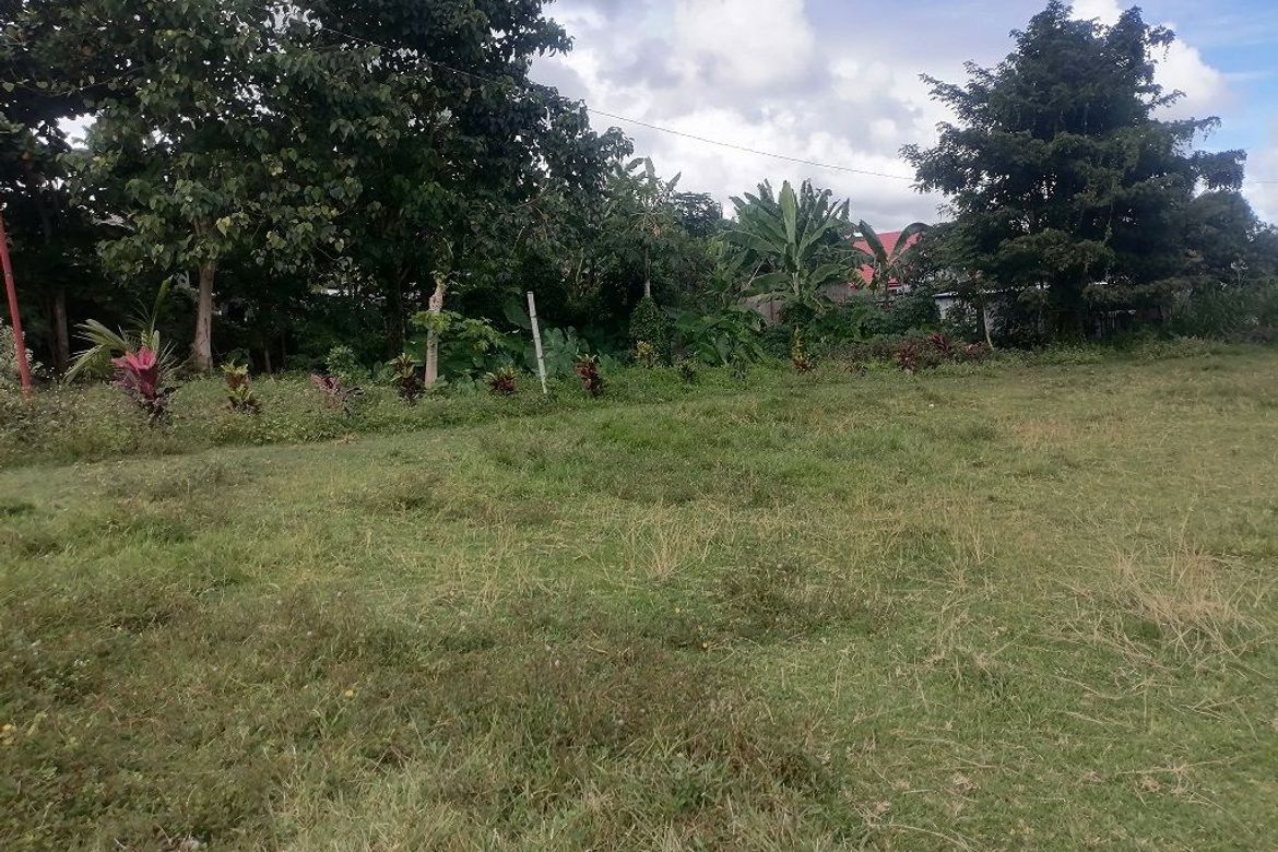 Land for Sale in Balabag East, Valencia, Negros Oriental – photo 4