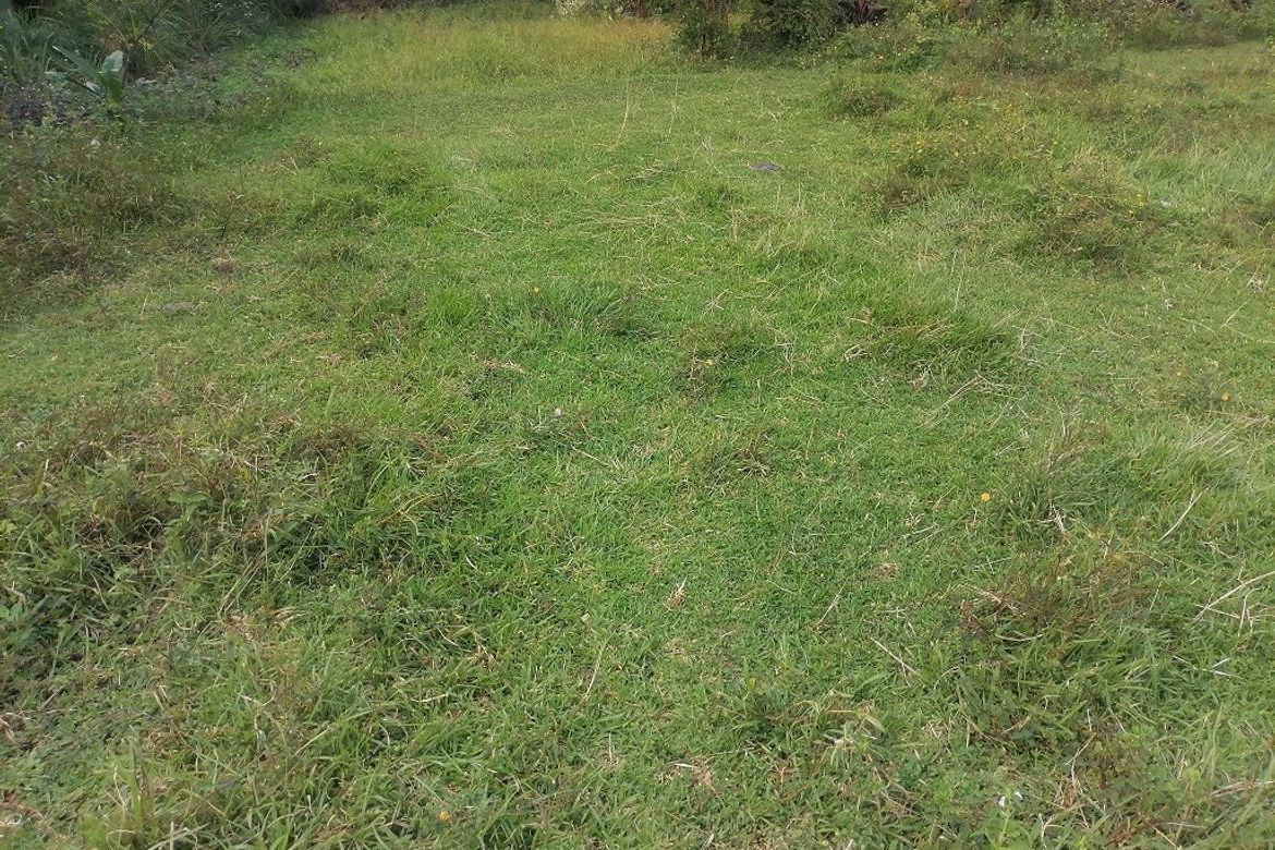 Land for Sale in Balabag East, Valencia, Negros Oriental – photo 5