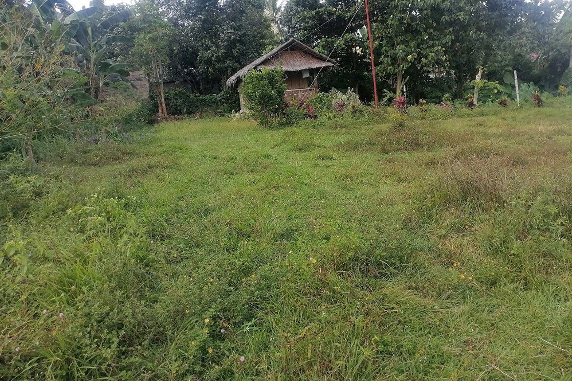 Land for Sale in Balabag East, Valencia, Negros Oriental – photo 6