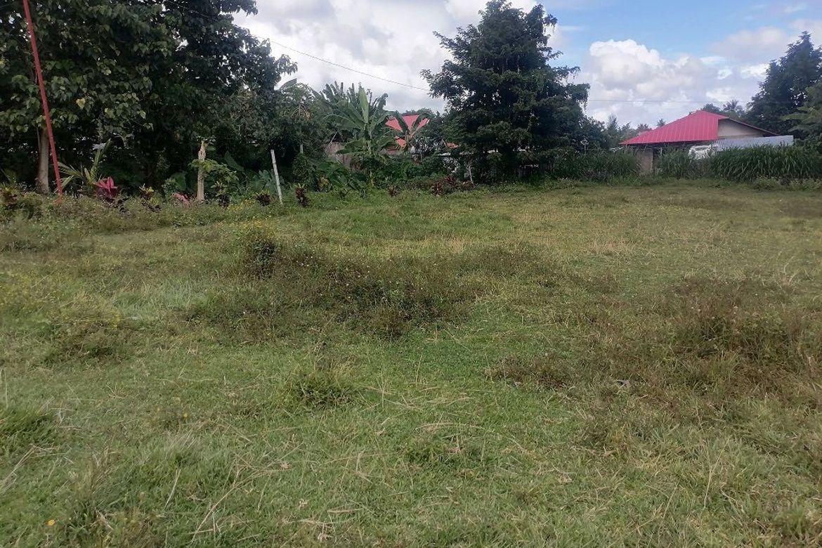 Land for Sale in Balabag East, Valencia, Negros Oriental – photo 7