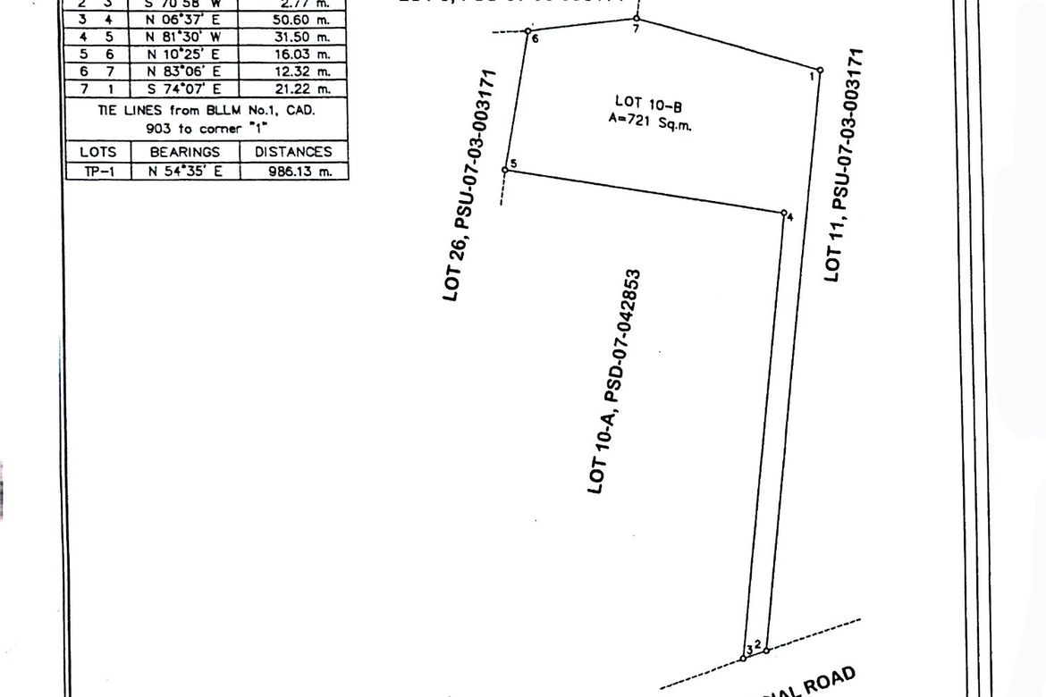 Land for Sale in Balabag East, Valencia, Negros Oriental – photo 2