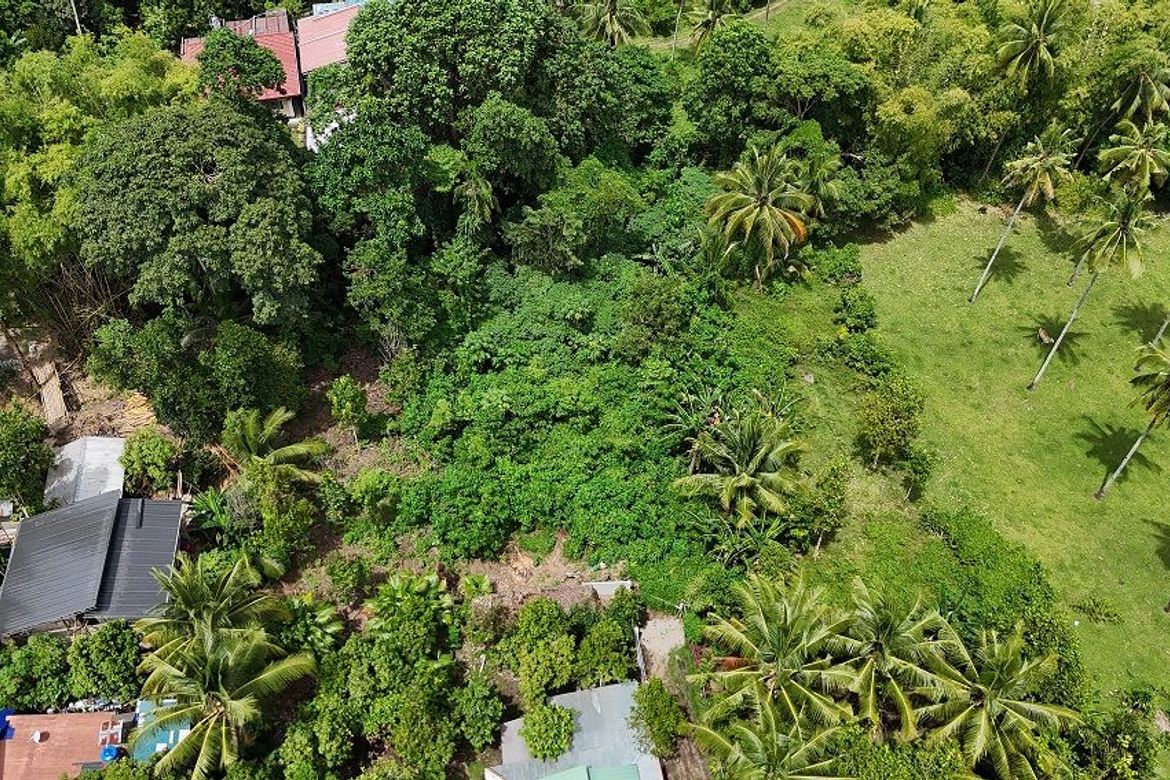 Land for Sale in Balabag East, Valencia, Negros Oriental – photo 2