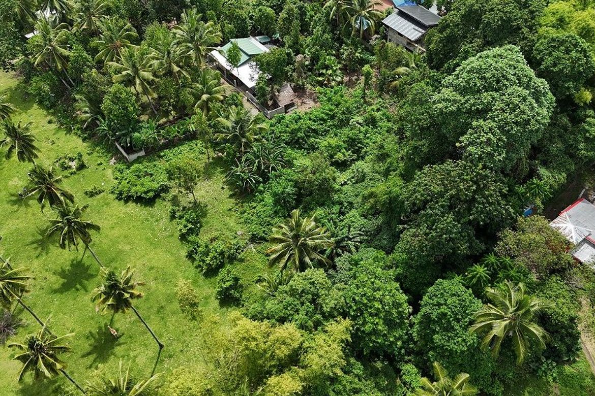 Land for Sale in Balabag East, Valencia, Negros Oriental – photo 4