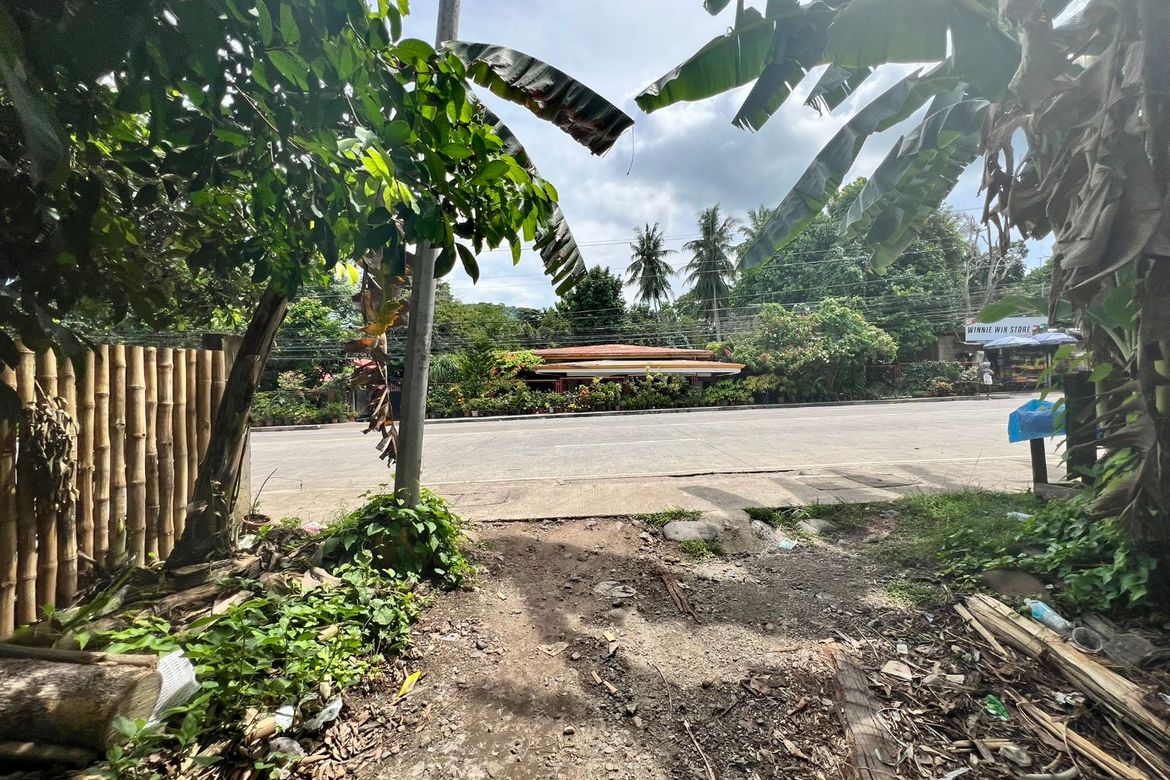 Land for Sale in Balabag East, Valencia, Negros Oriental – photo 5