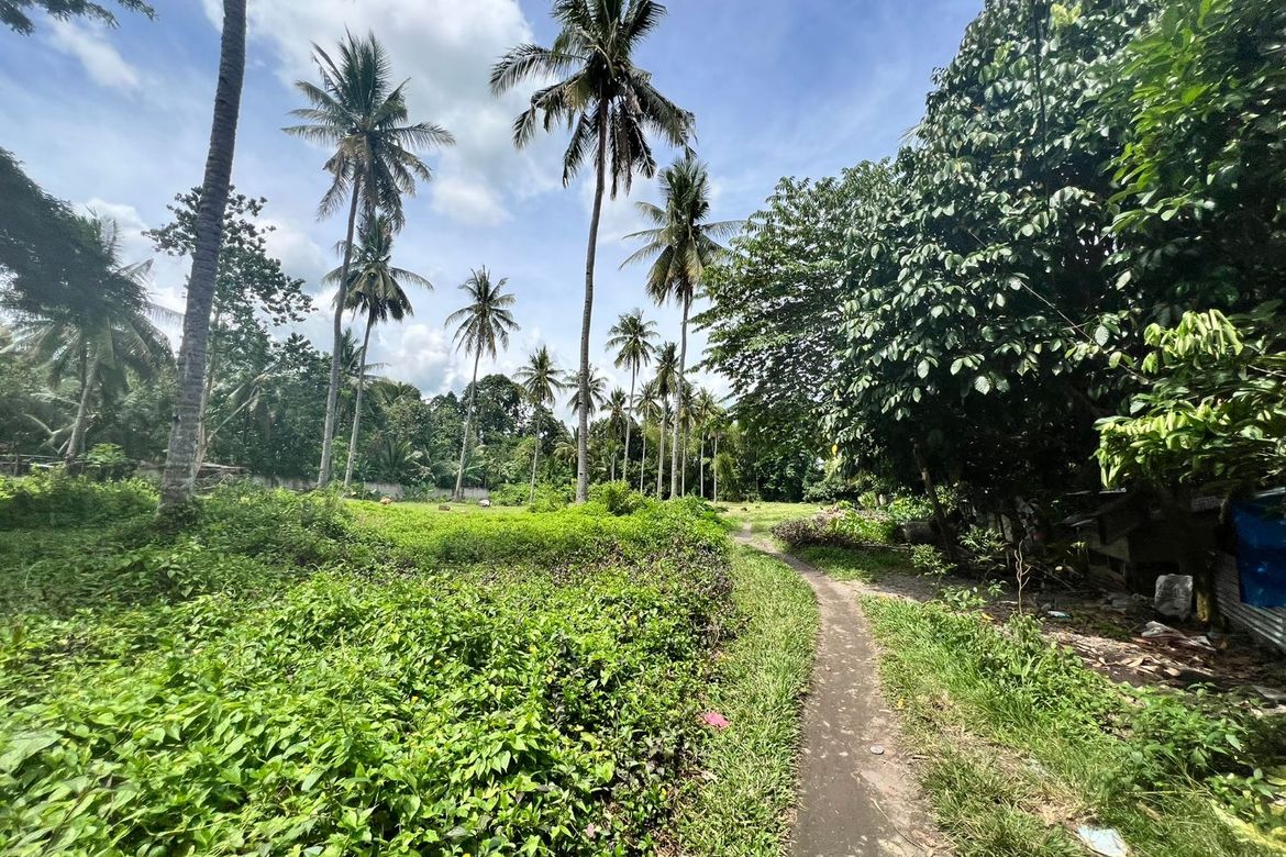 Land for Sale in Balabag East, Valencia, Negros Oriental – photo 6