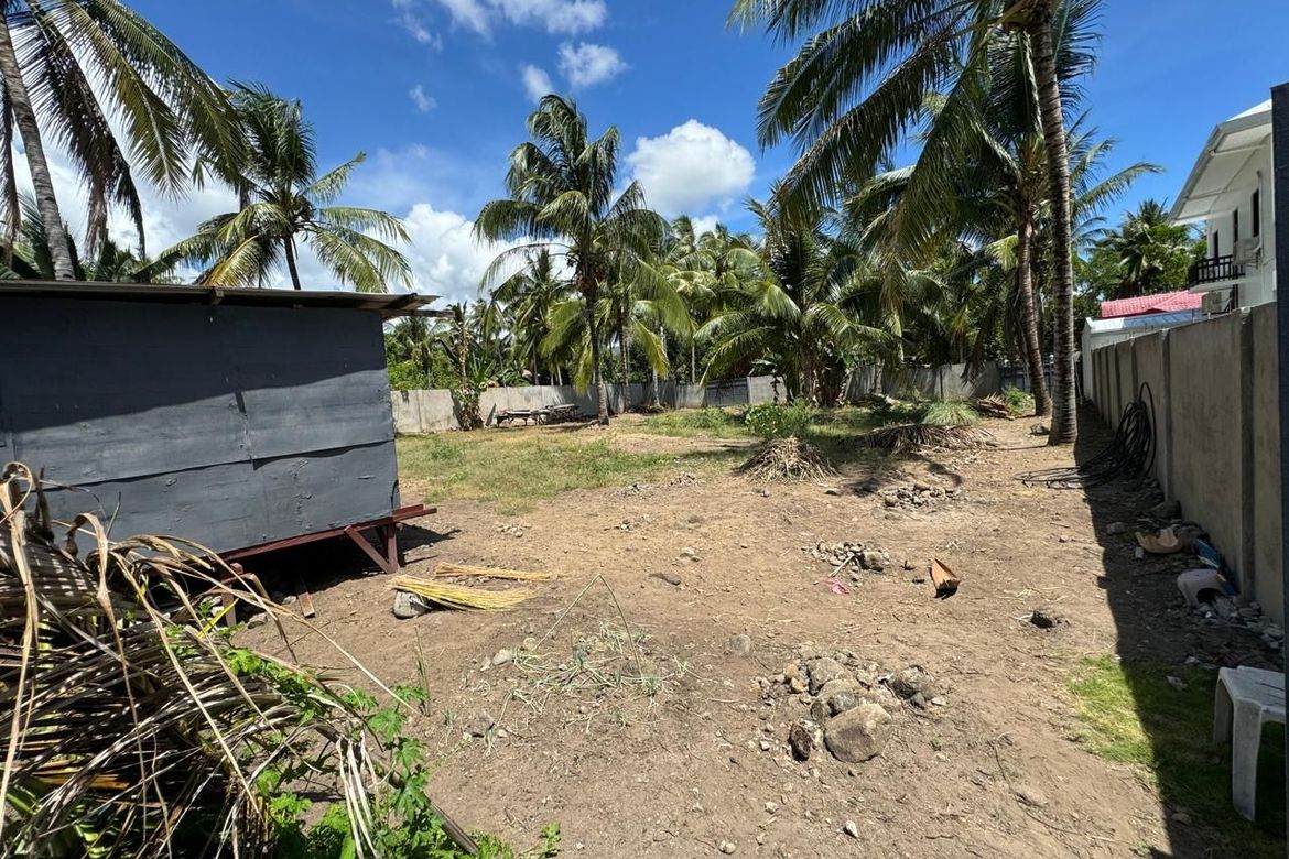 Land for Sale in Balabag East, Valencia, Negros Oriental – photo 7