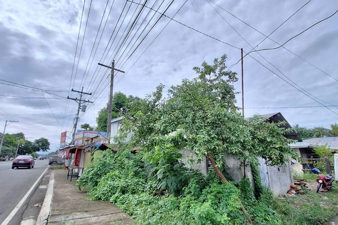 Land for Sale in Balabag, Pavia, Iloilo – photo 3