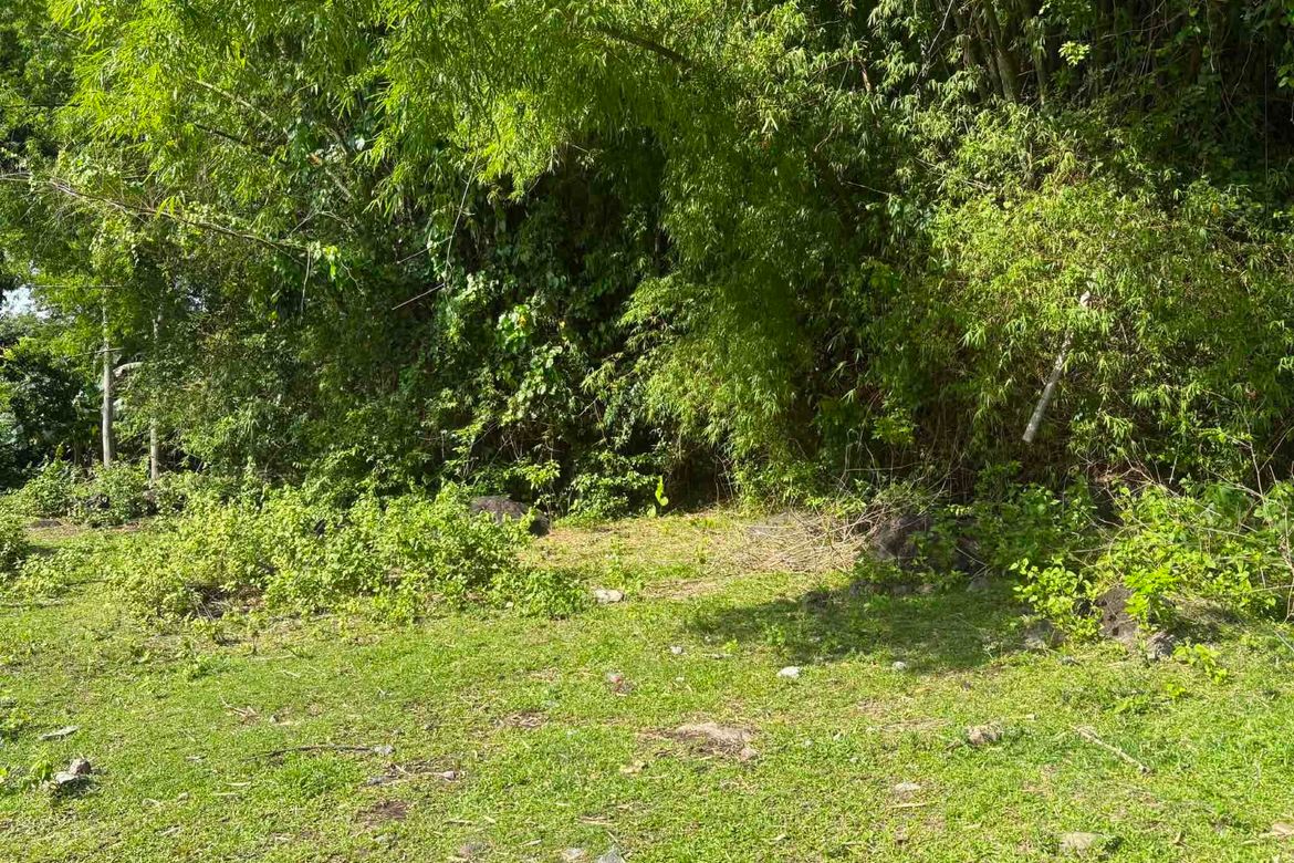 Land for Sale in Balabag West, Valencia, Negros Oriental – photo 2