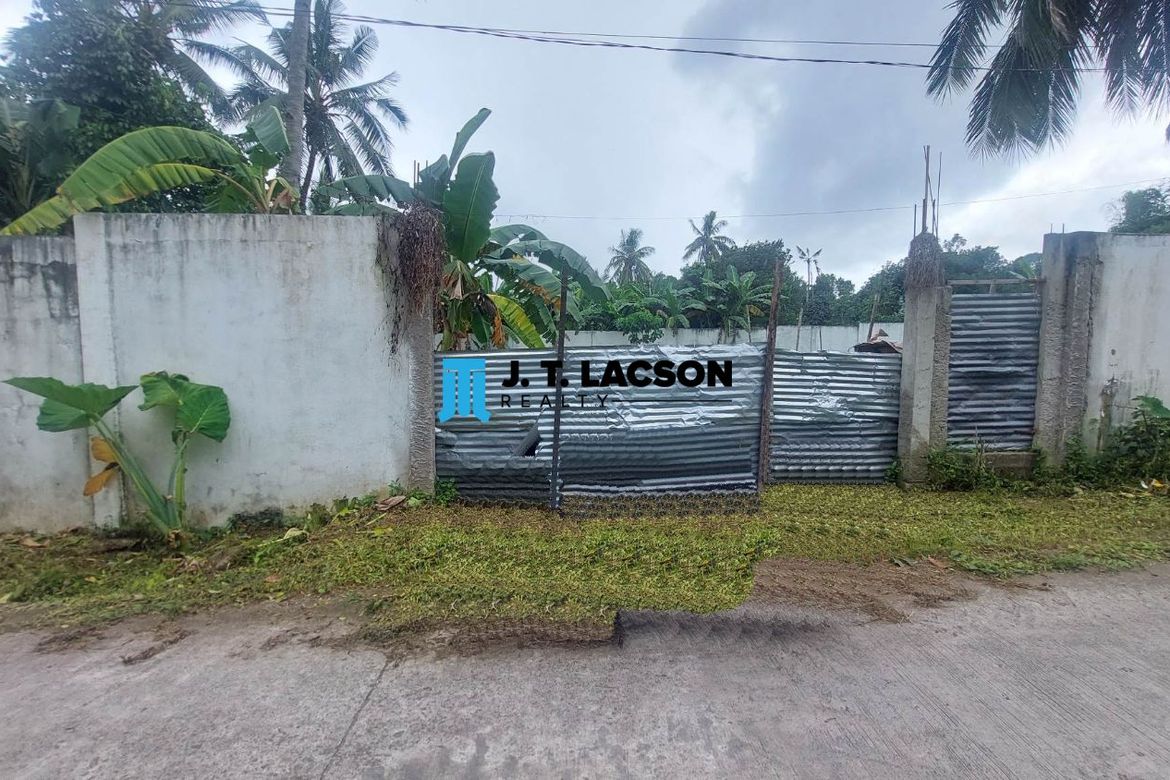 Land for Sale in Balabag West, Valencia, Negros Oriental