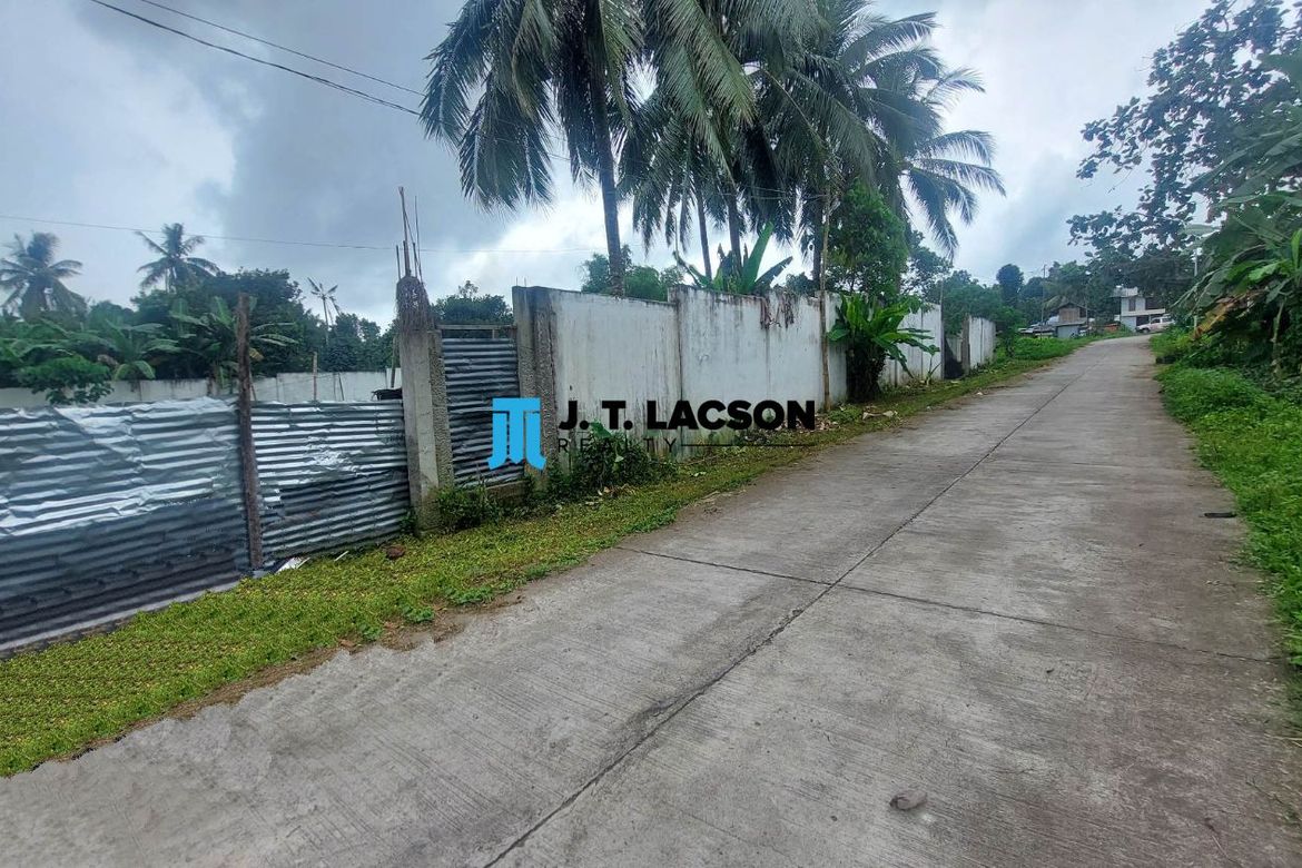 Land for Sale in Balabag West, Valencia, Negros Oriental – photo 3