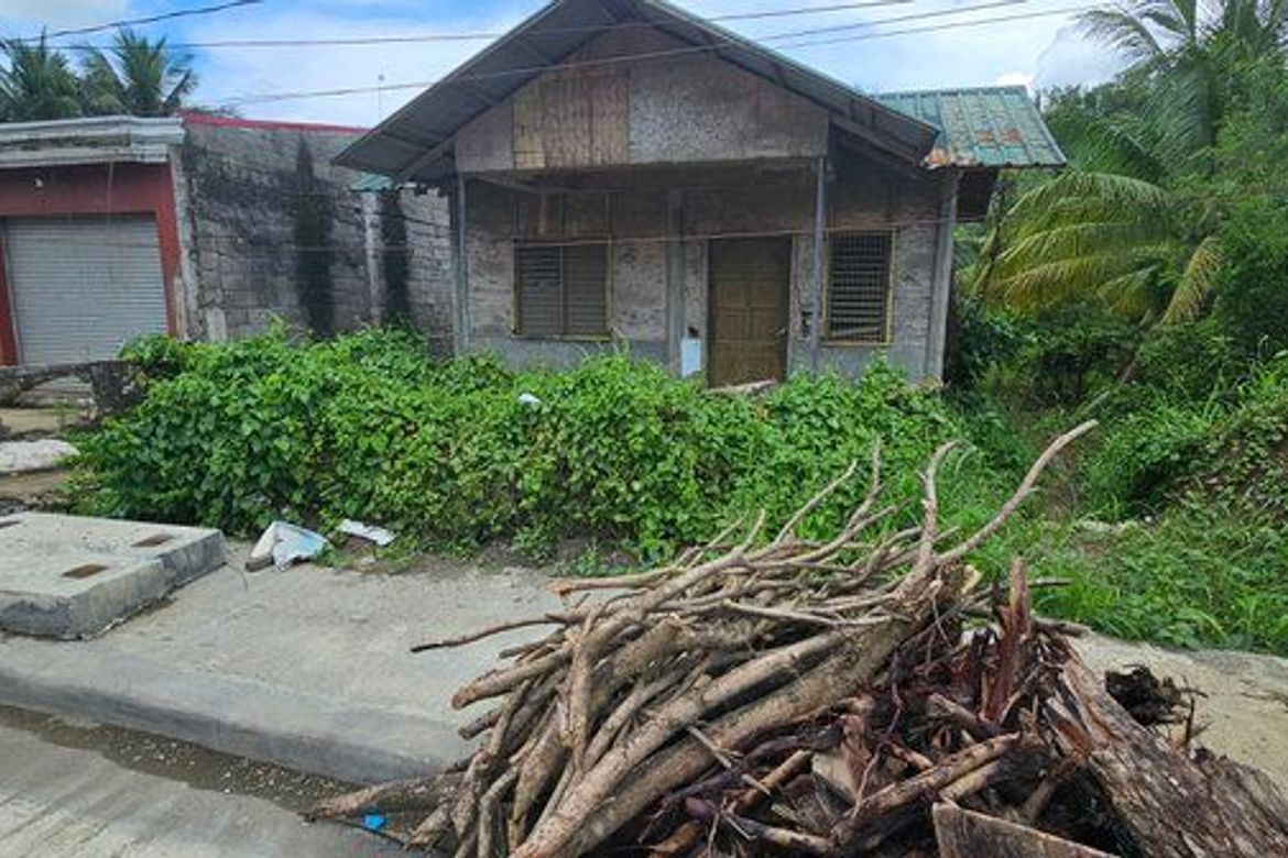 Land for Sale in Balabago, Alimodian, Iloilo