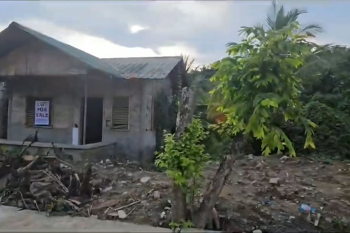 Land for Sale in Balabago, Alimodian, Iloilo – photo 2