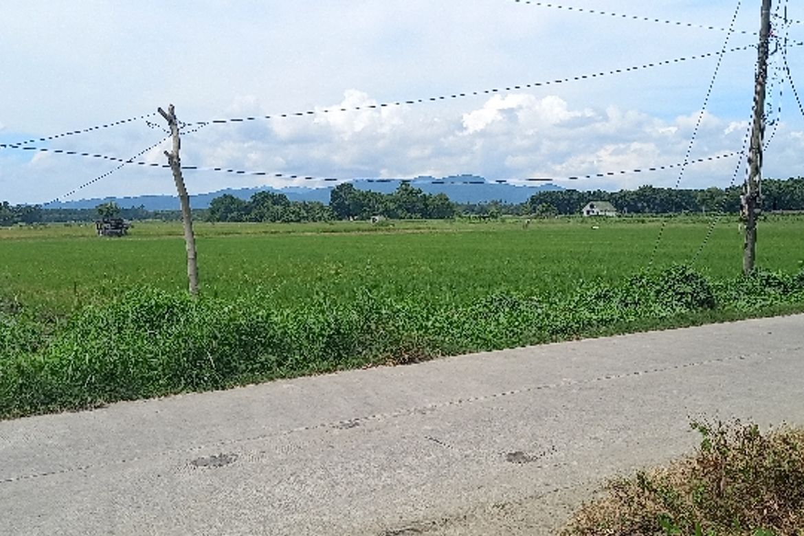 Land for Sale in Balagbag, San Juan, Batangas – photo 2