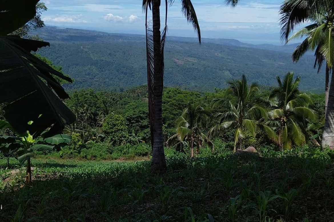 Land for Sale in Balagnan, Balingasag, Misamis Oriental – photo 6