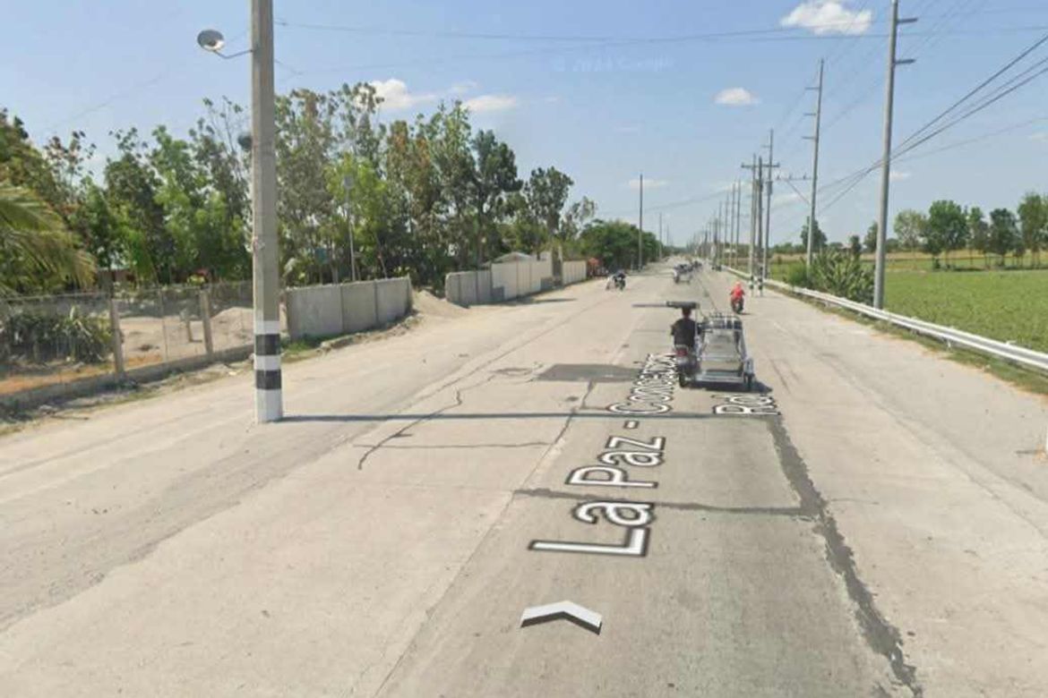 Land for Sale in Balanoy, La Paz, Tarlac – photo 6