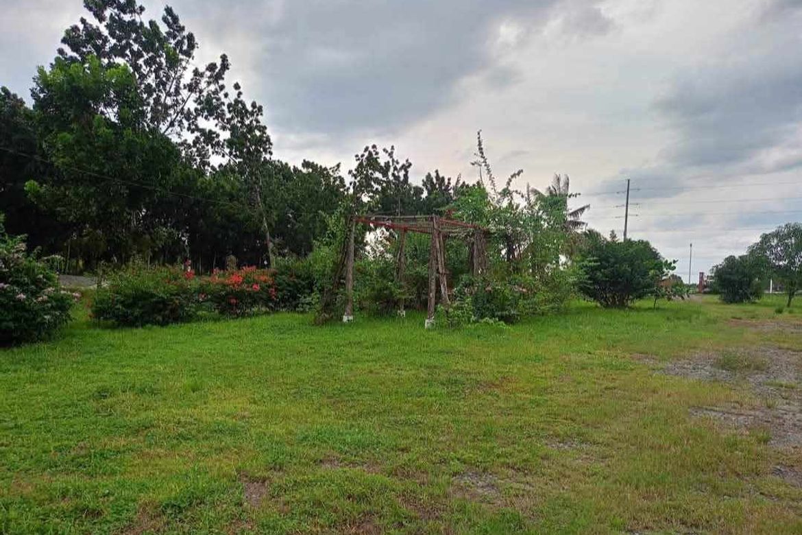 Land for Sale in Balanoy, La Paz, Tarlac – photo 7