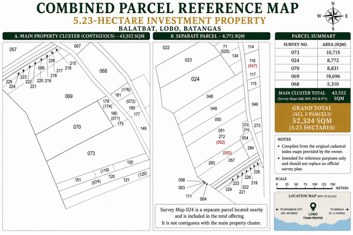 Land for Sale in Balatbat, Lobo, Batangas – photo 5