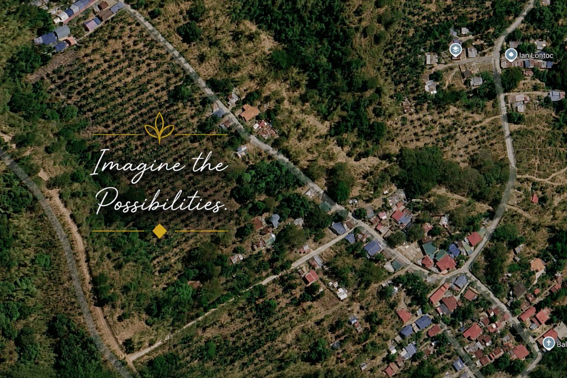 Land for Sale in Balatbat, Lobo, Batangas – photo 6