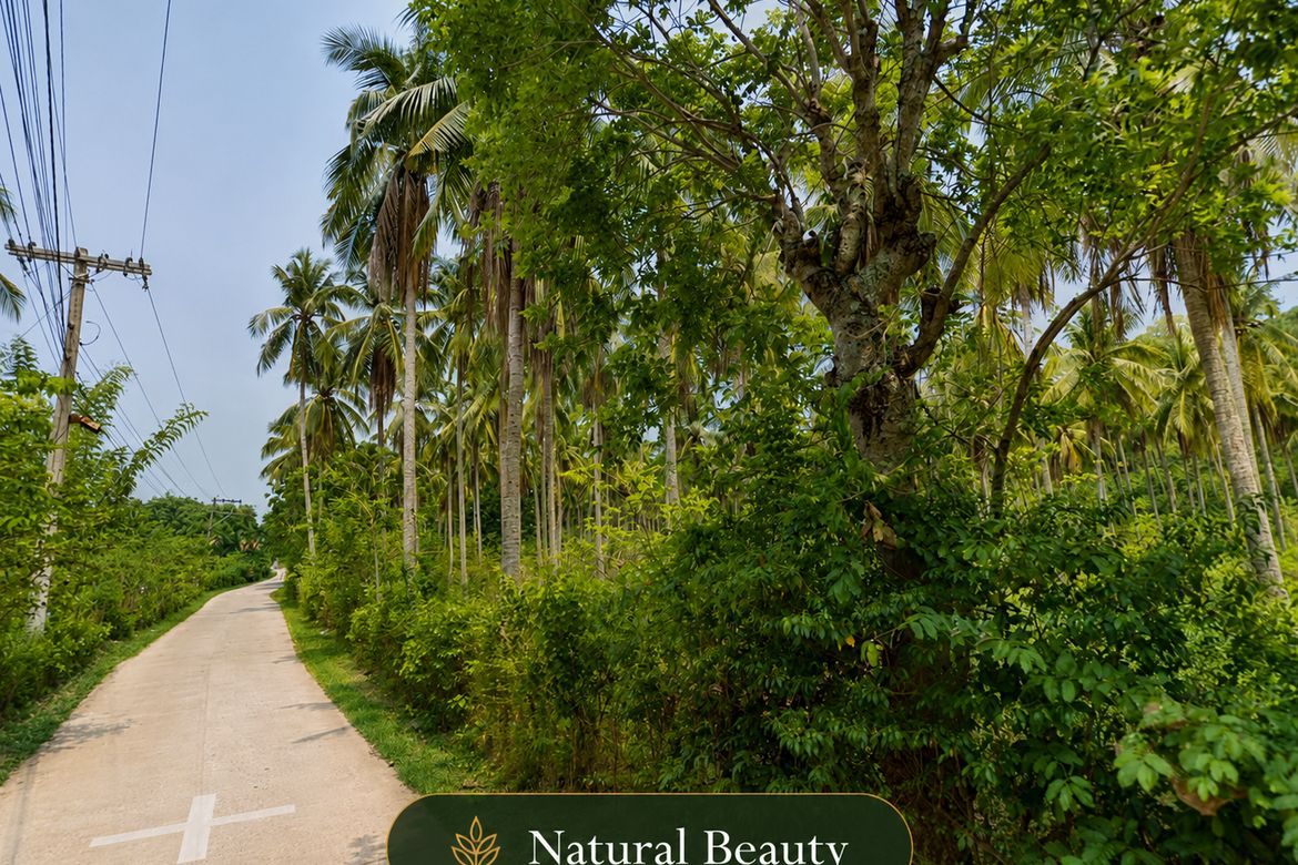 Land for Sale in Balatbat, Lobo, Batangas – photo 8
