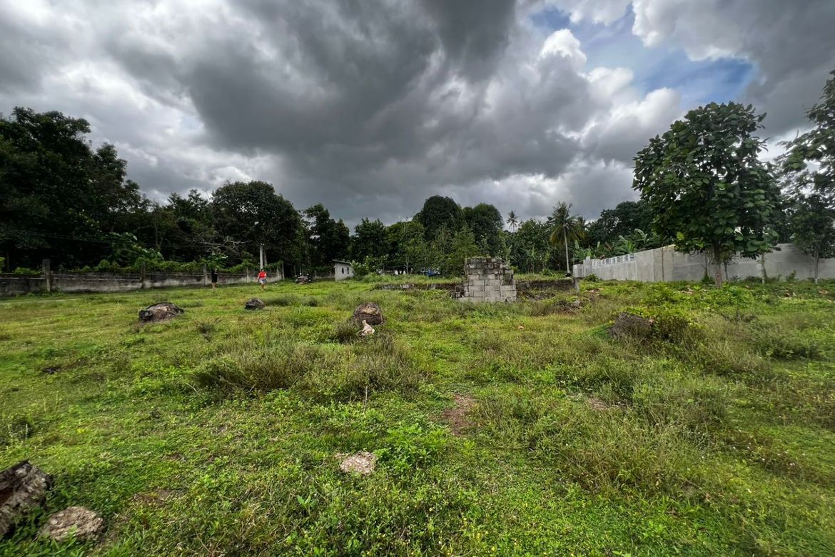 Land for Sale in Balayagmanok, Bacong, Negros Oriental