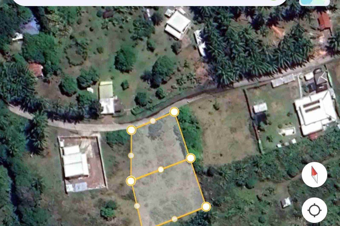 Land for Sale in Balayagmanok, Bacong, Negros Oriental – photo 3