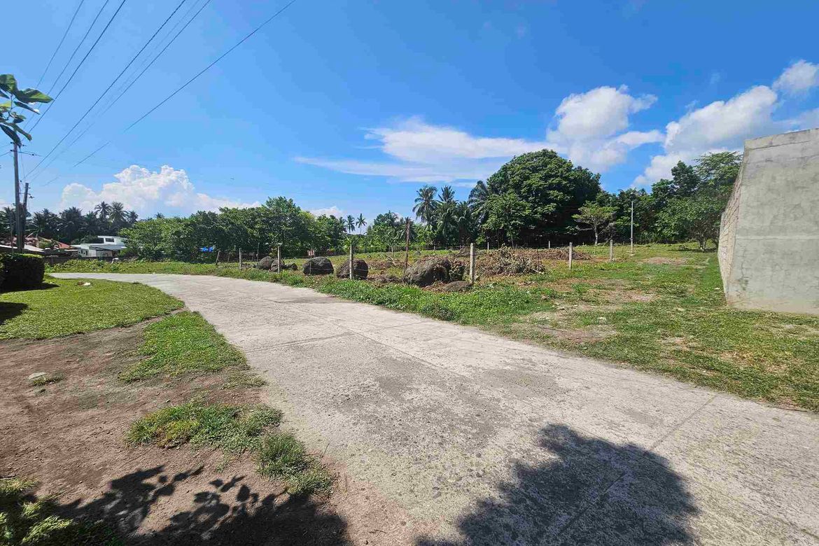 Land for Sale in Balayagmanok, Bacong, Negros Oriental – photo 4