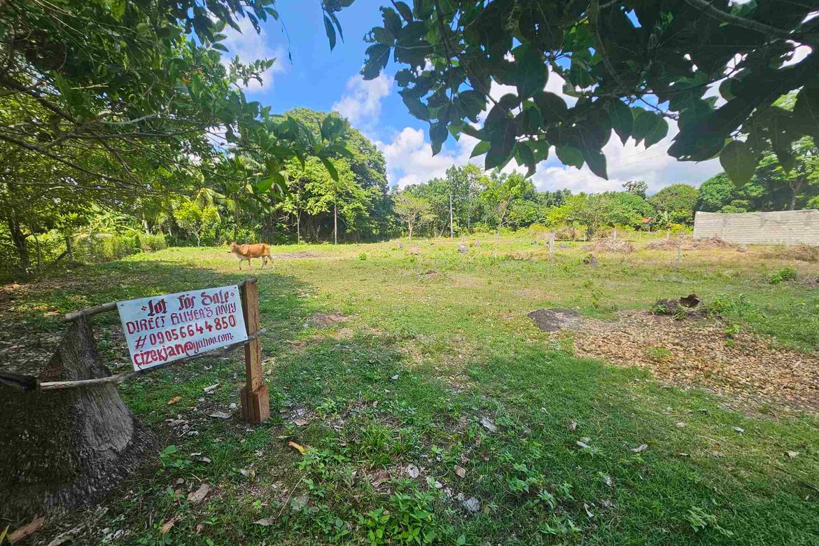 Land for Sale in Balayagmanok, Bacong, Negros Oriental – photo 5