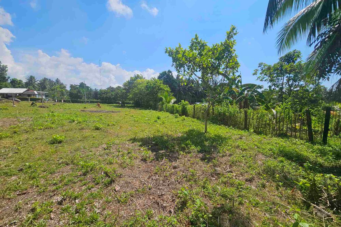 Land for Sale in Balayagmanok, Bacong, Negros Oriental – photo 7