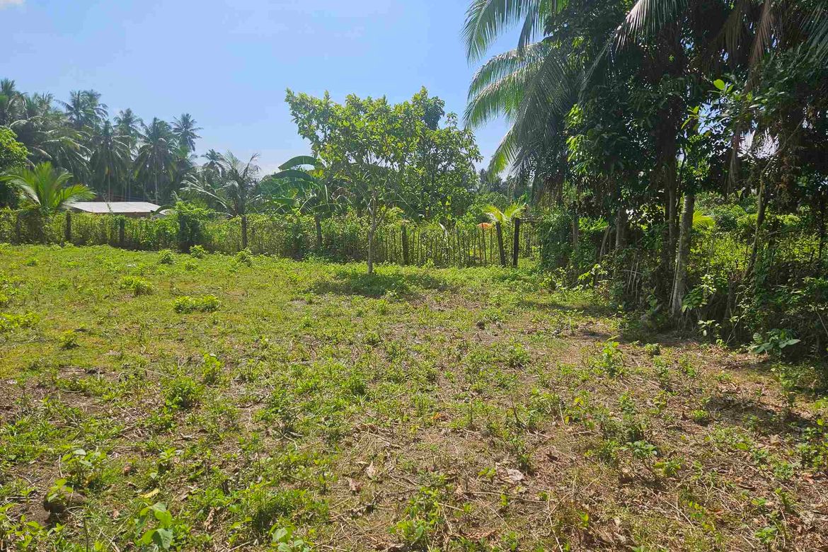 Land for Sale in Balayagmanok, Bacong, Negros Oriental – photo 8