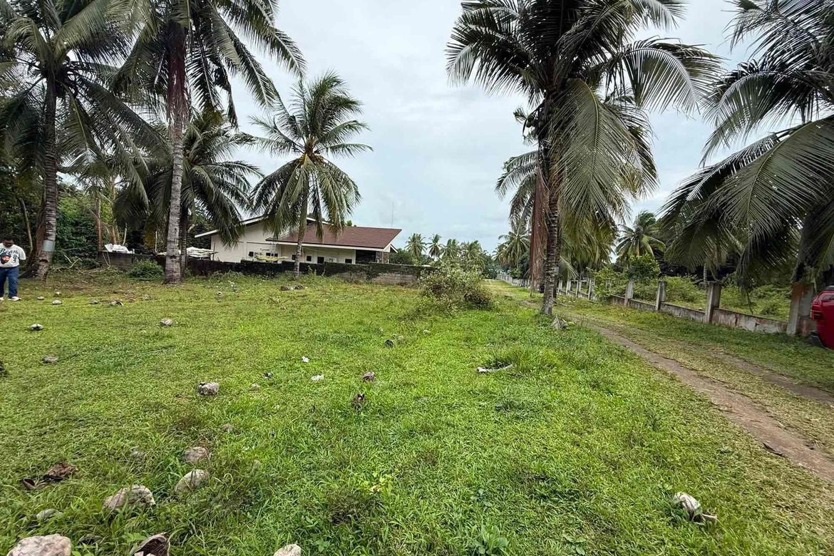 Land for Sale in Balayagmanok, Valencia, Negros Oriental – photo 2
