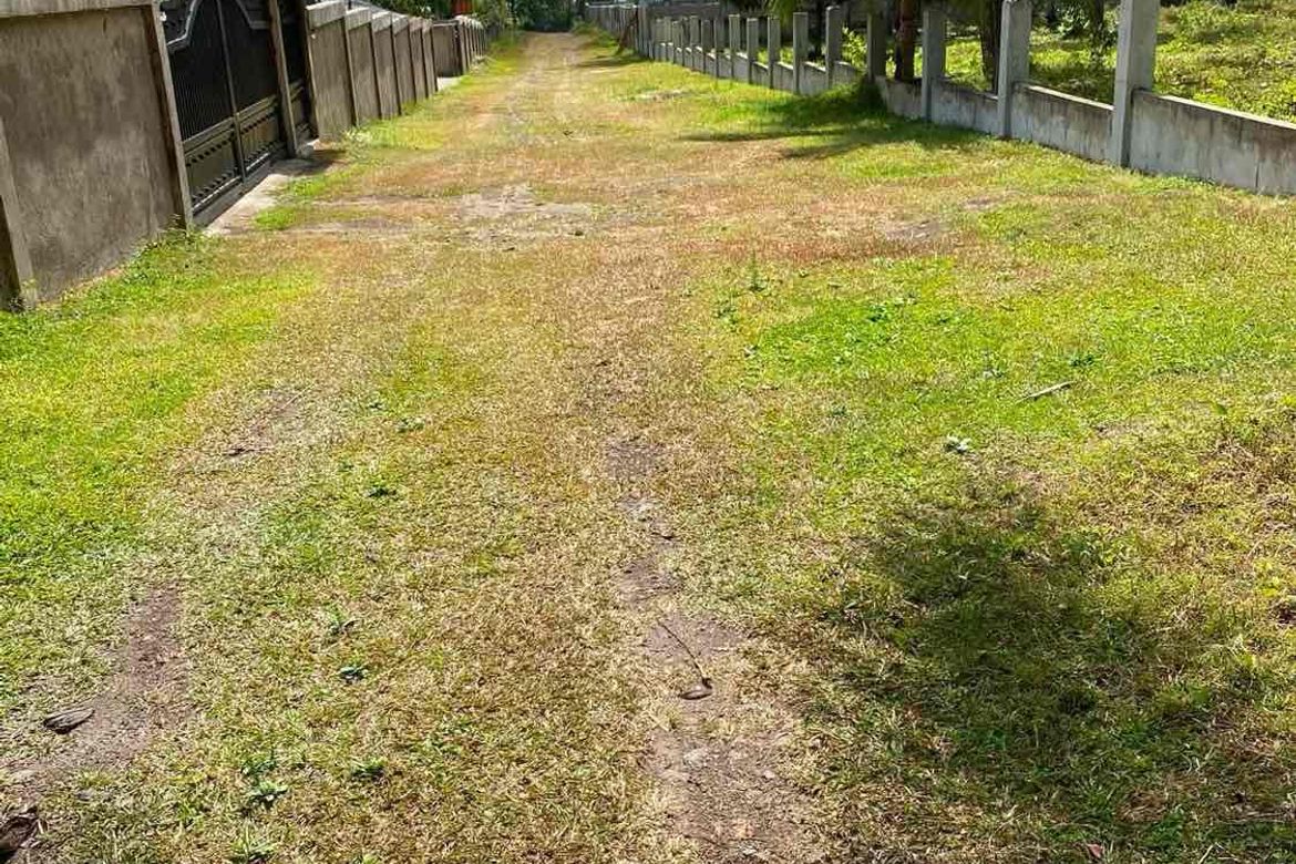 Land for Sale in Balayagmanok, Valencia, Negros Oriental – photo 4