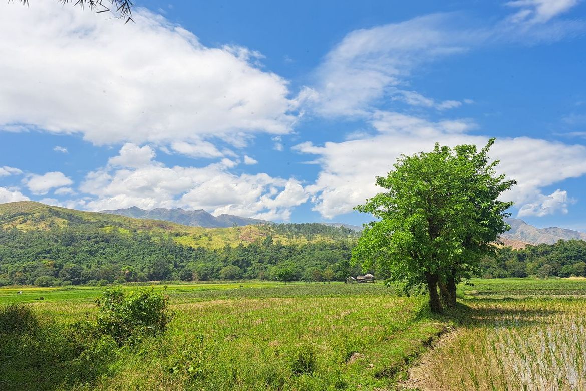 Land for Sale in Balaybay, Castillejos, Zambales – photo 2