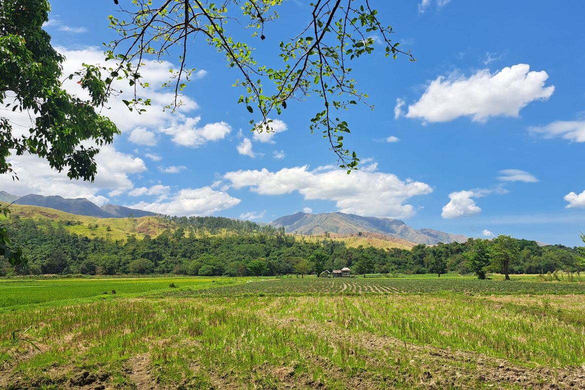 Land for Sale in Balaybay, Castillejos, Zambales – photo 3