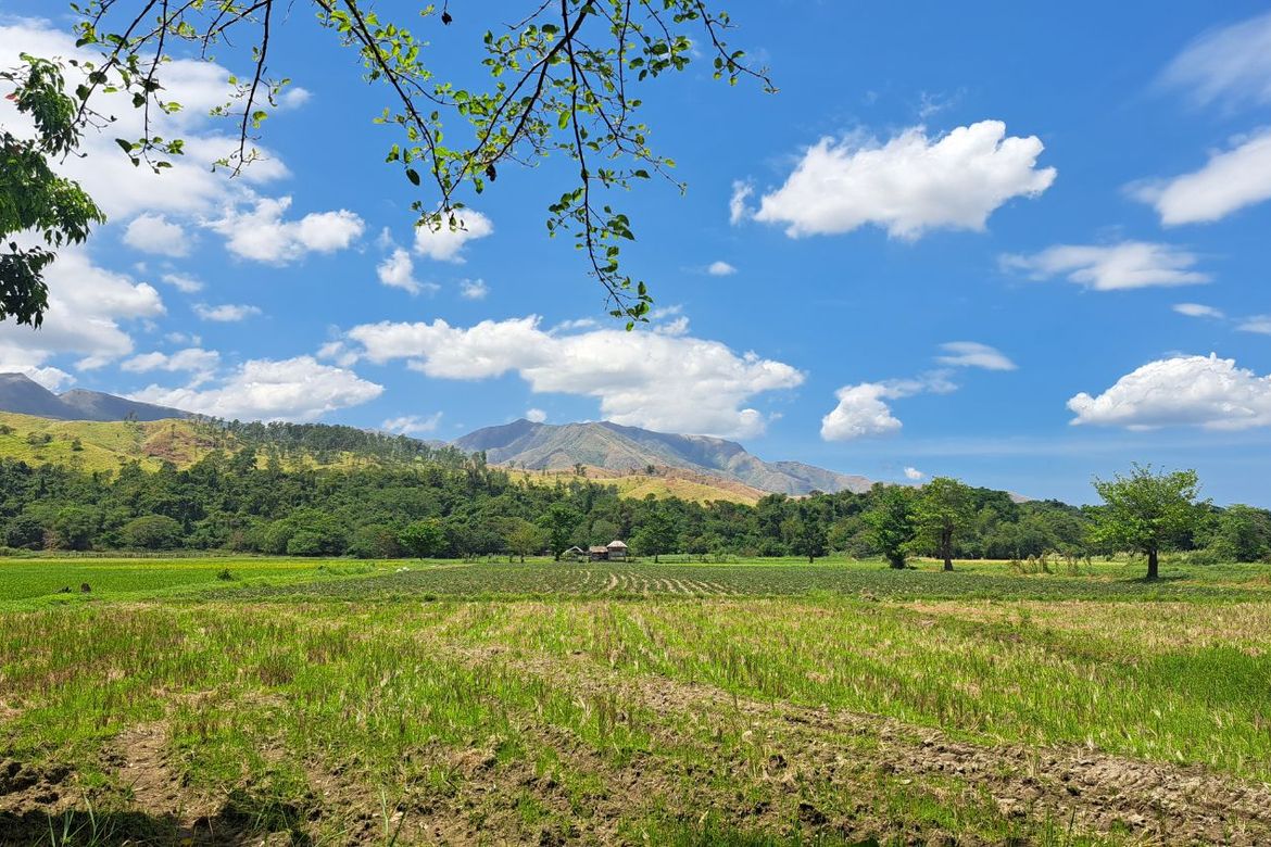 Land for Sale in Balaybay, Castillejos, Zambales – photo 4
