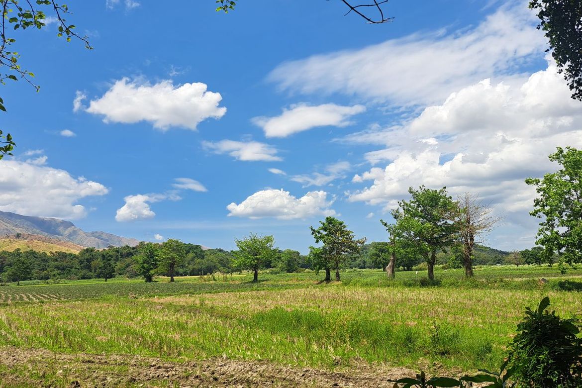 Land for Sale in Balaybay, Castillejos, Zambales – photo 5