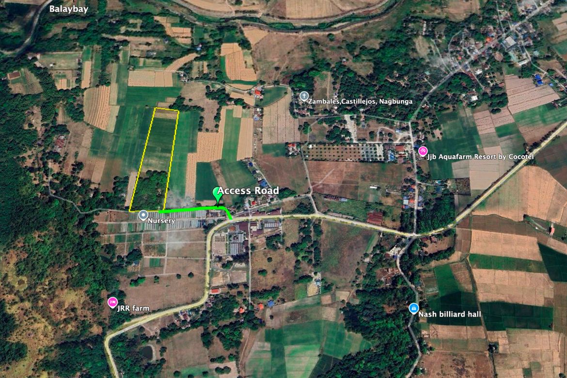 Land for Sale in Balaybay, Castillejos, Zambales – photo 6