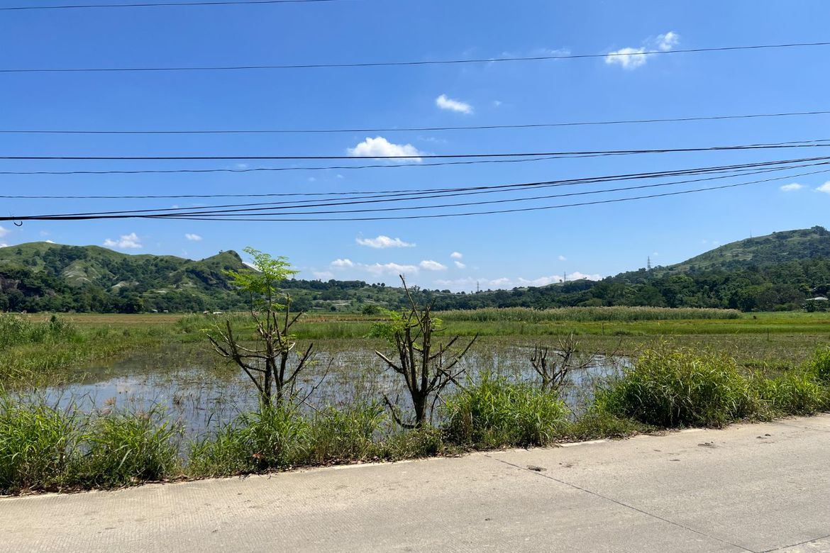 Land for Sale in Balaybay, Castillejos, Zambales – photo 5