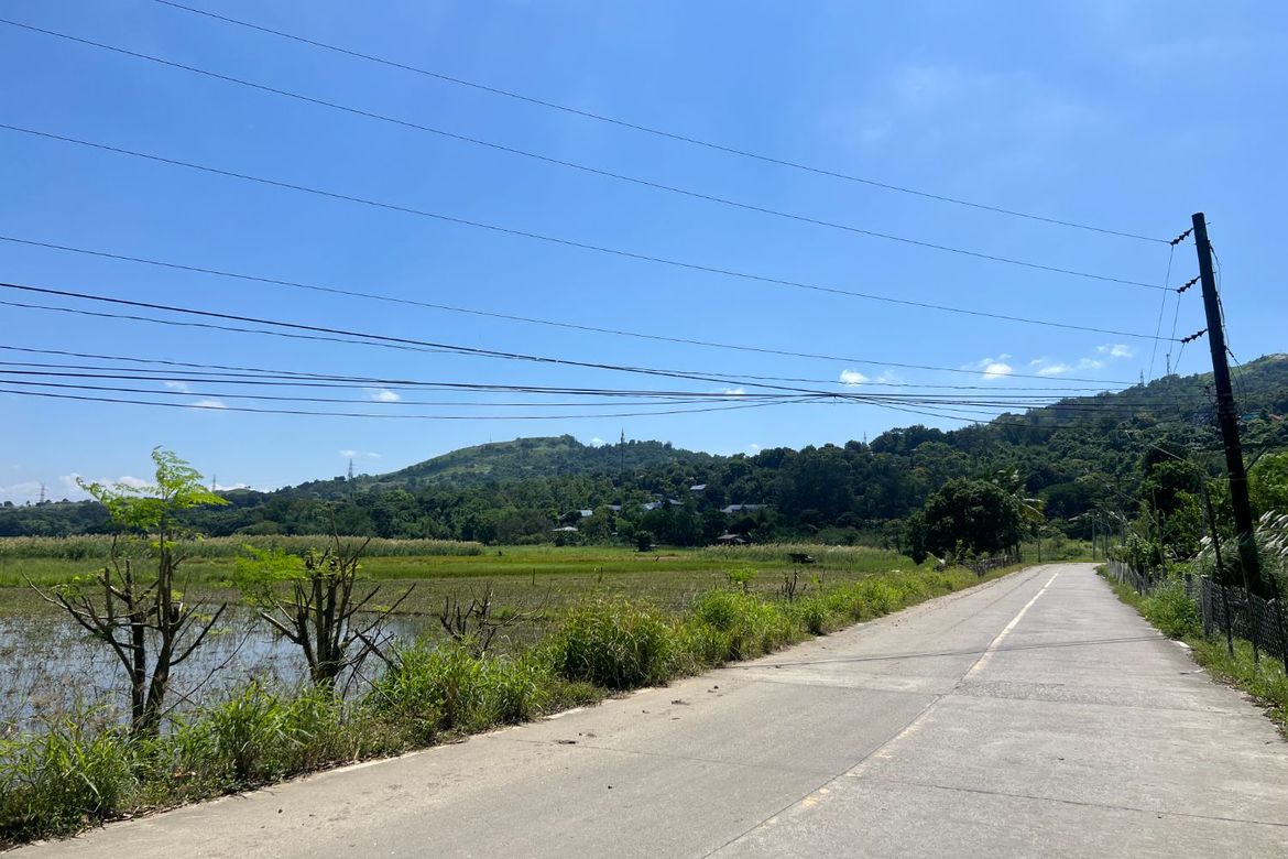 Land for Sale in Balaybay, Castillejos, Zambales – photo 8