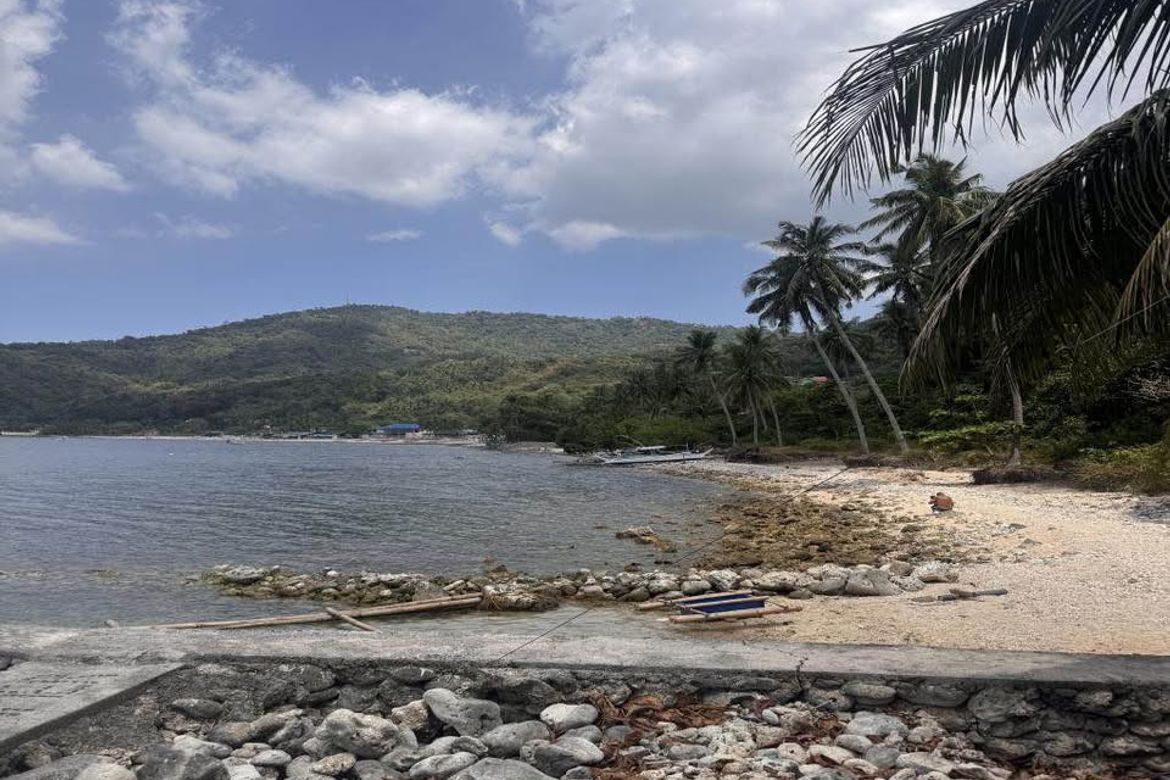 Land for Sale in Balayong, Bauan, Batangas – photo 2