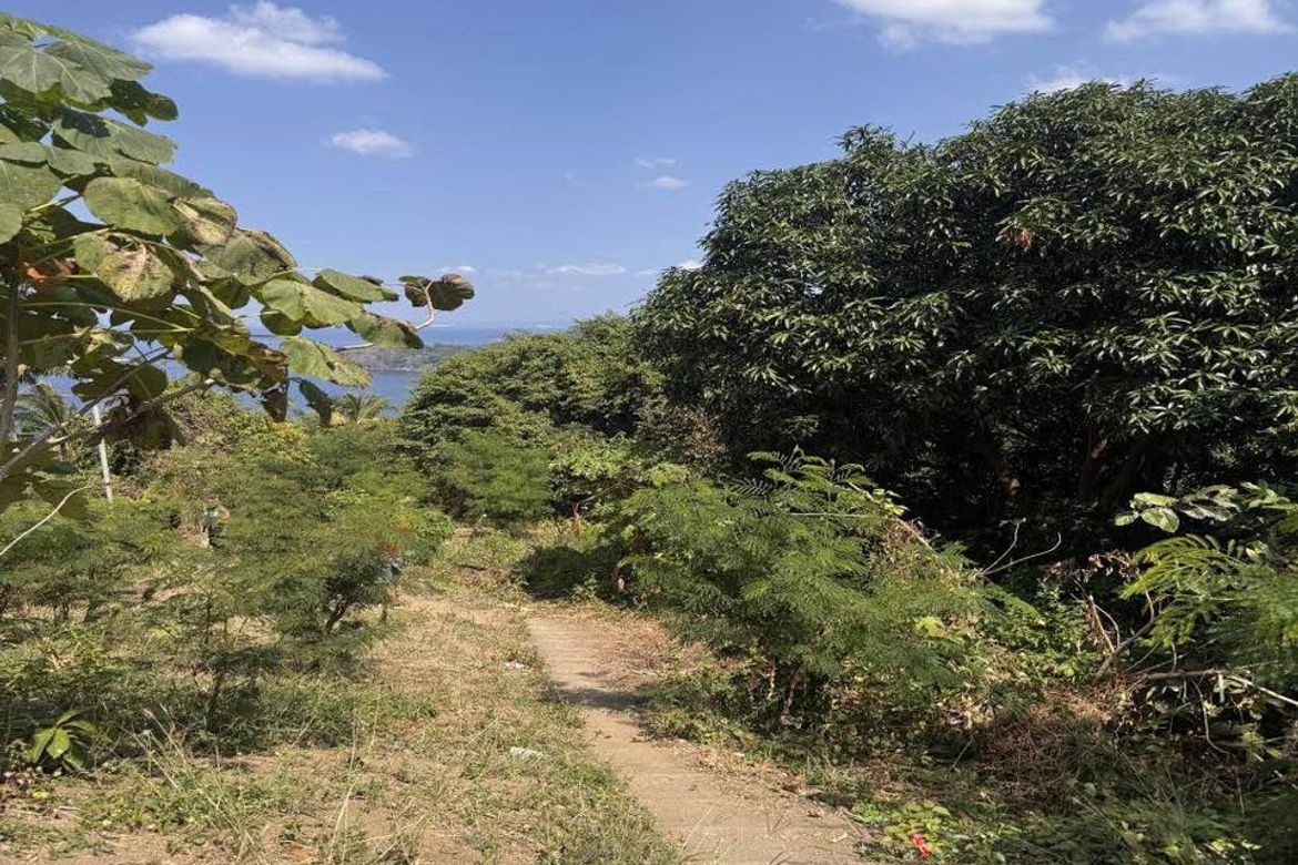 Land for Sale in Balayong, Bauan, Batangas – photo 4