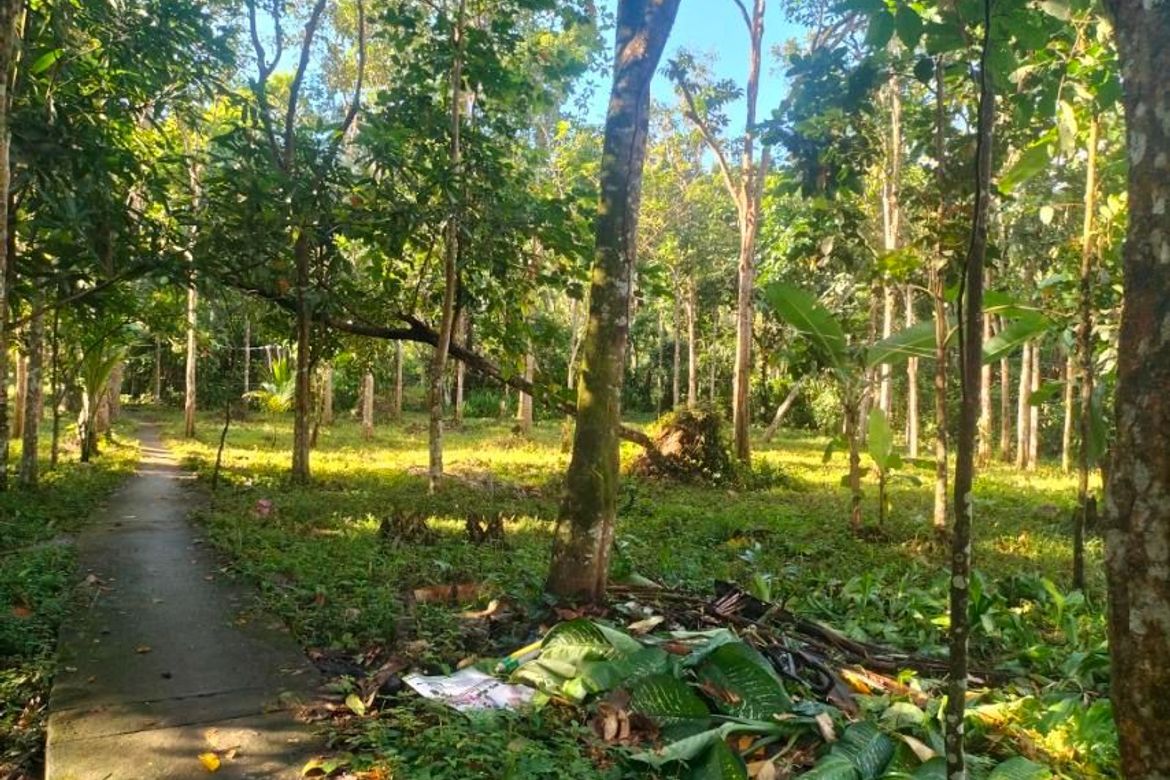 Land for Sale in Balayong, Nagcarlan, Laguna – photo 2